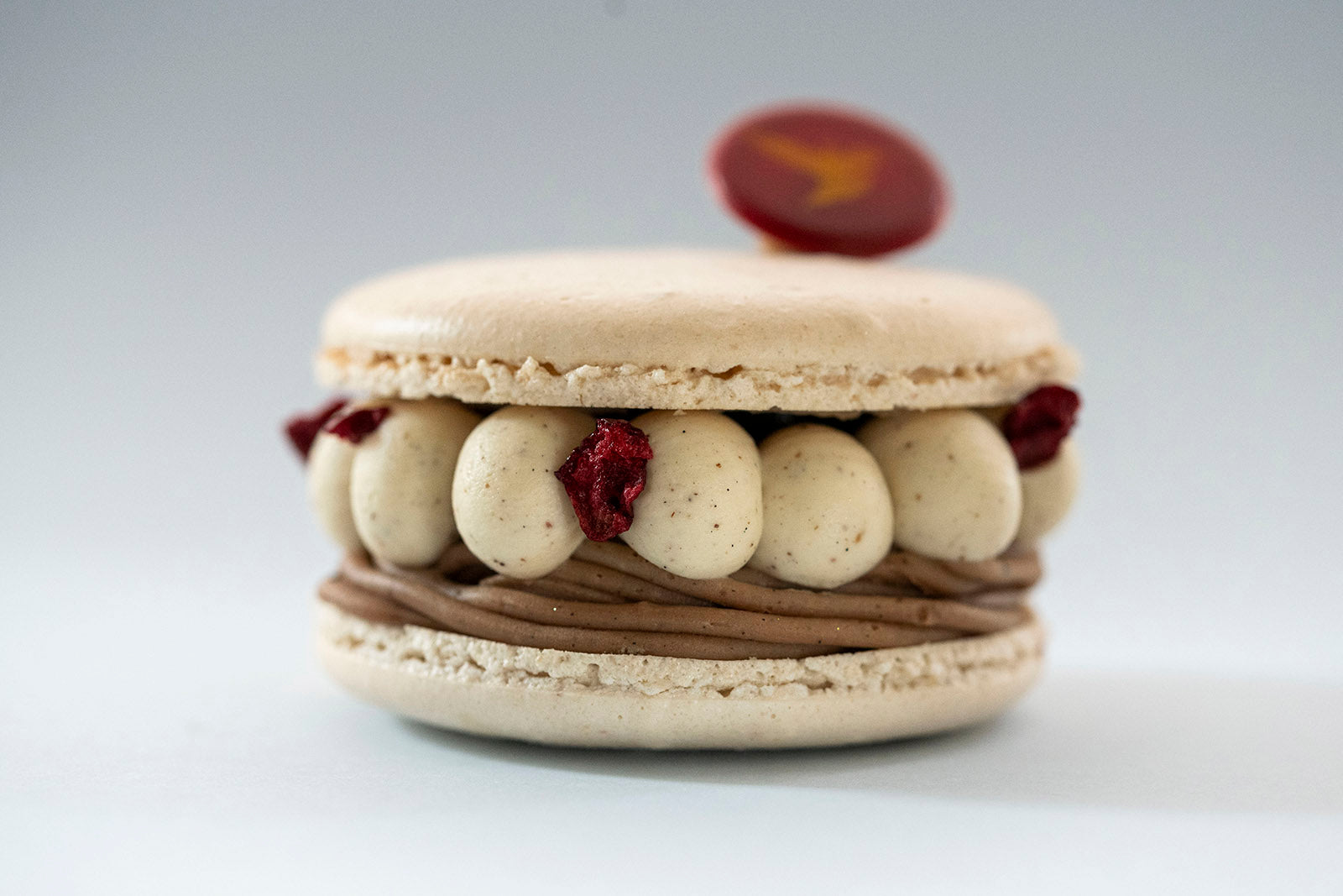 GIANT MACARON 'Céline'