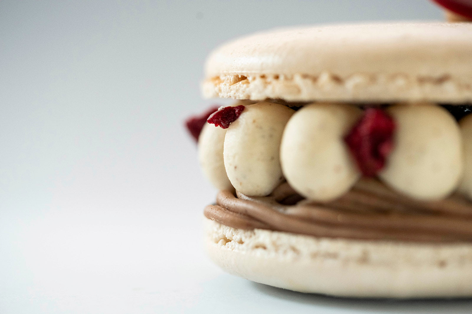 GIANT MACARON 'Céline'