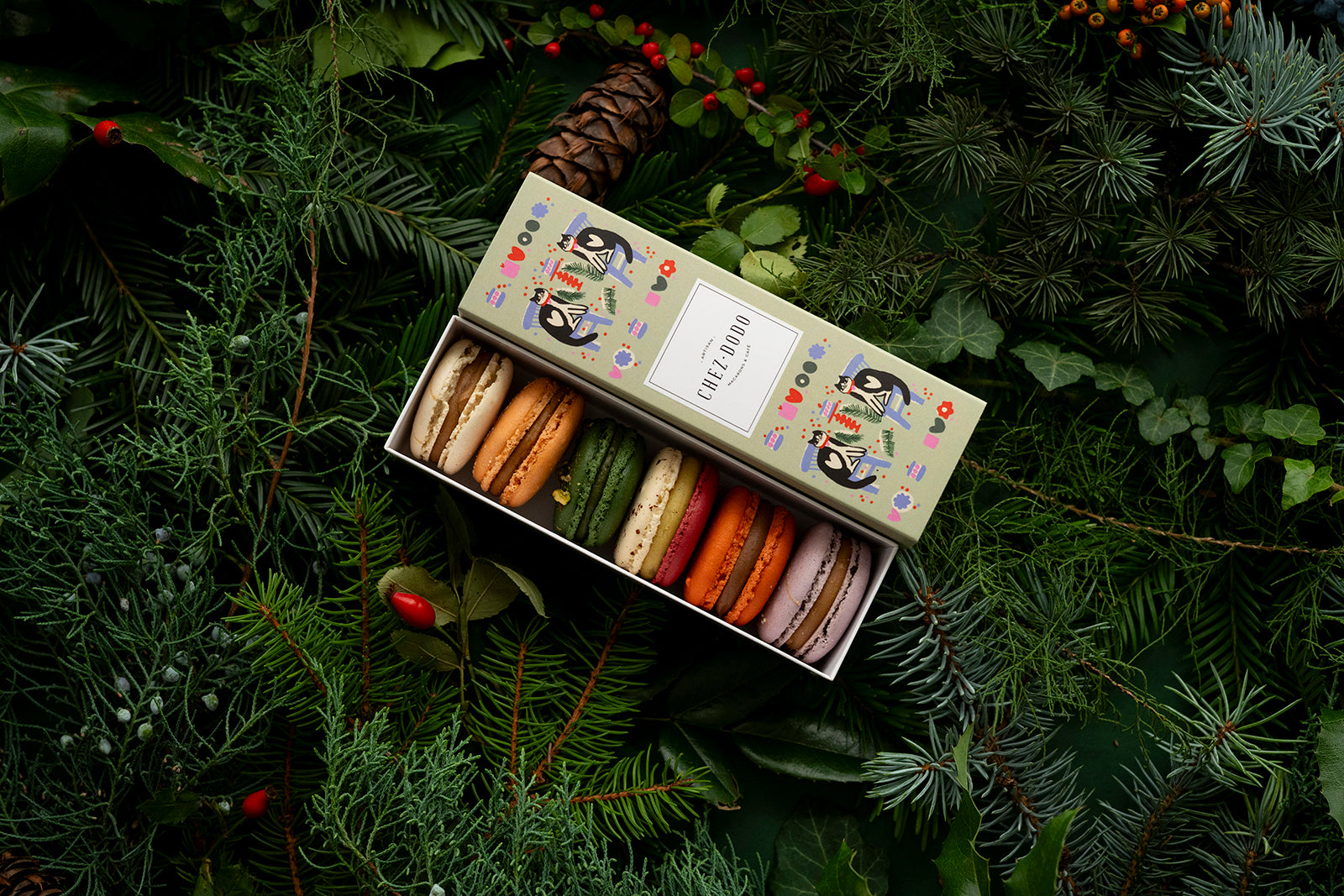 6 db-os macaron válogatás 'Cats' díszdobozban (zöld)