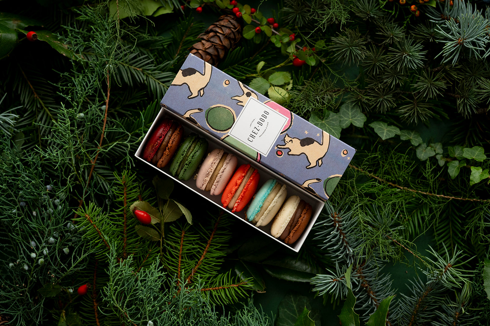 6 db-os macaron válogatás 'Cats' díszdobozban (kék)